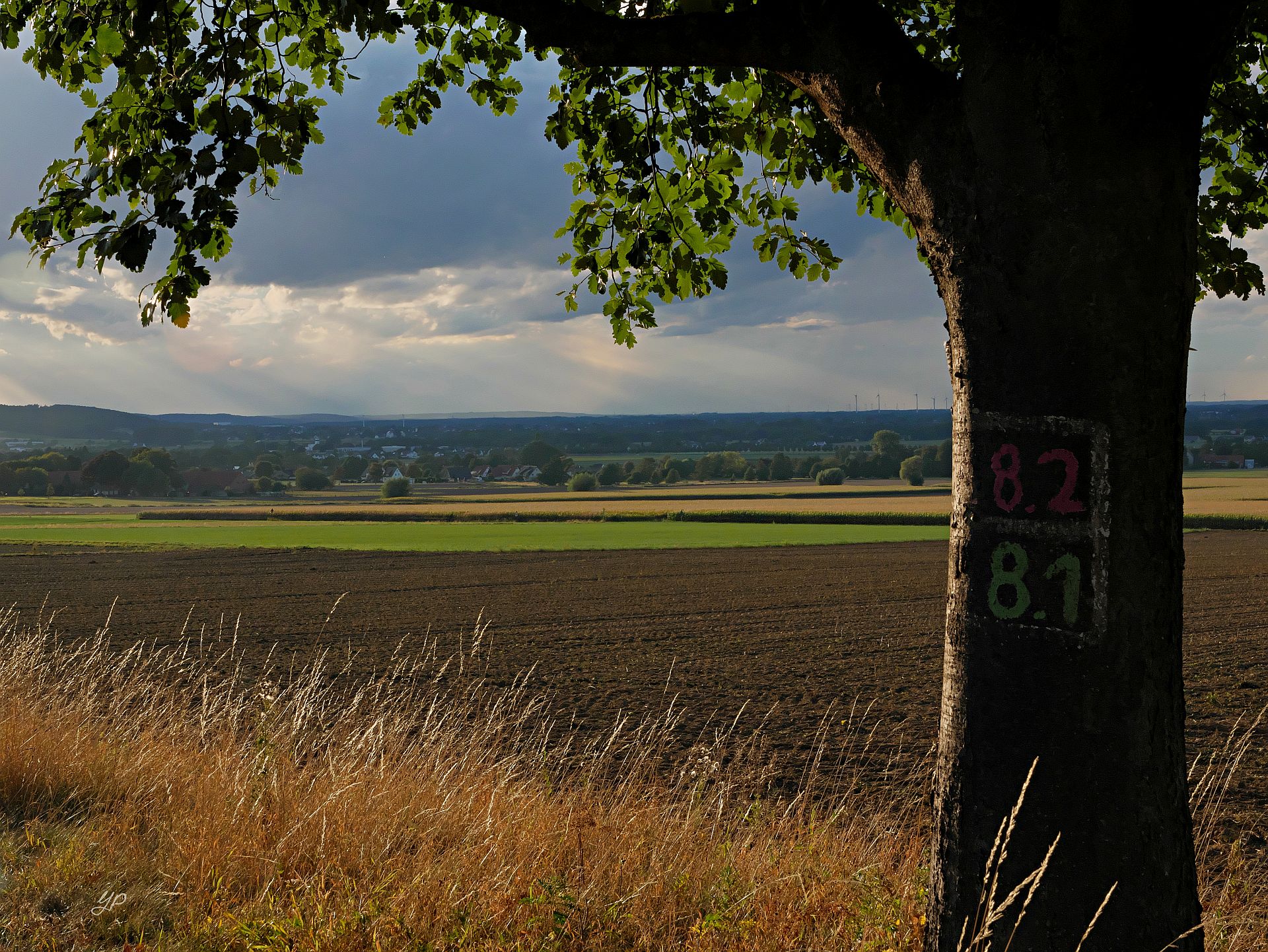 In der Abendsonne