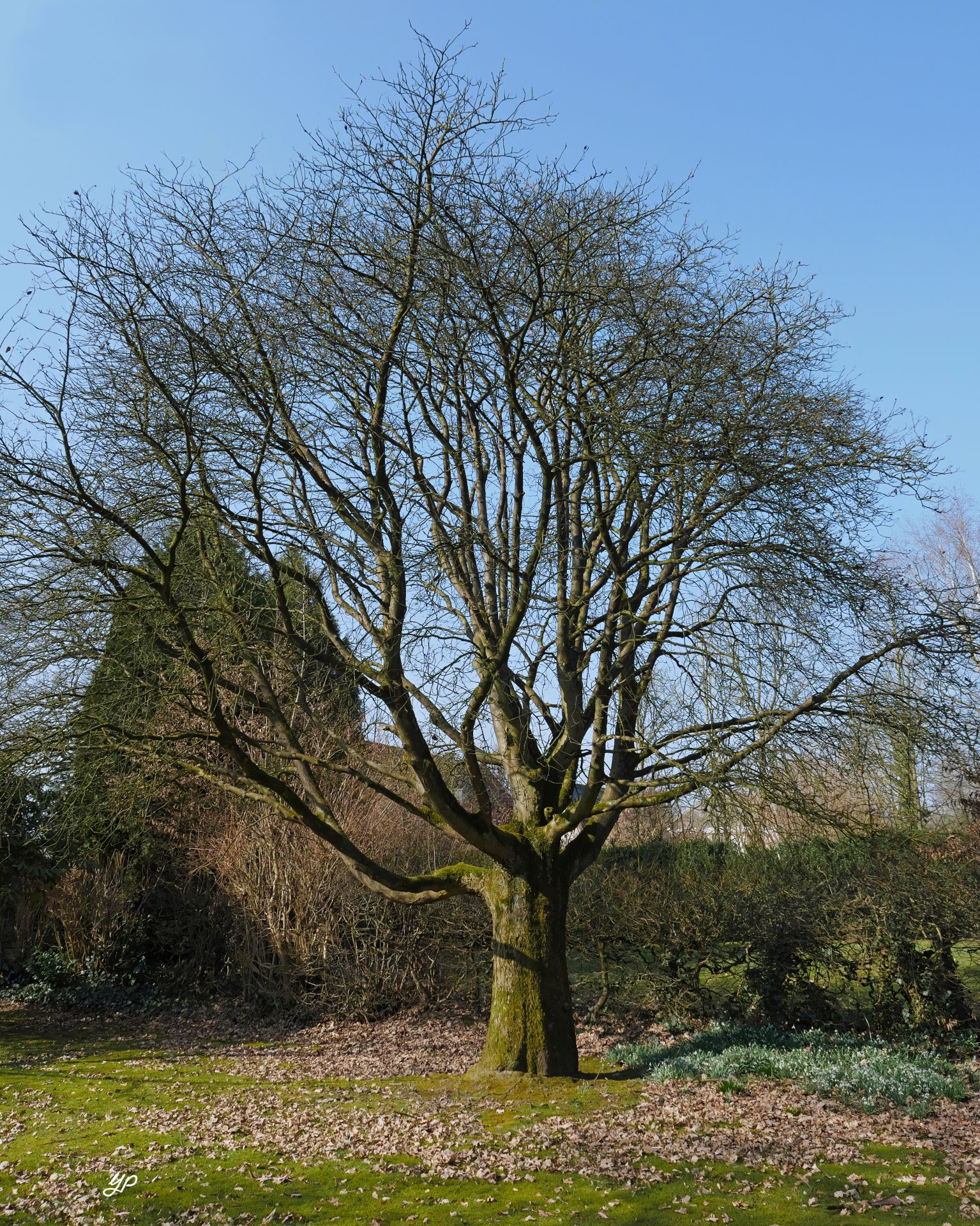 In der Märzsonne