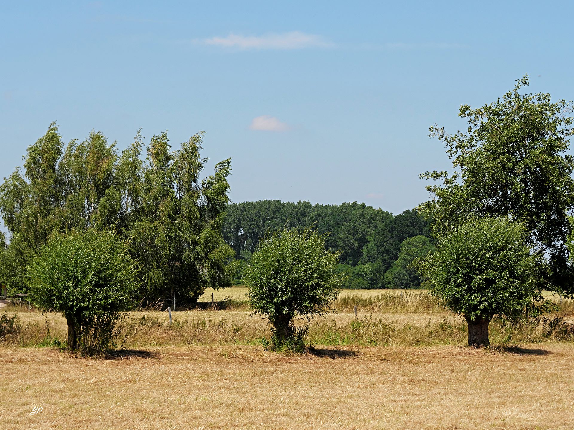 In der Mittagshitze