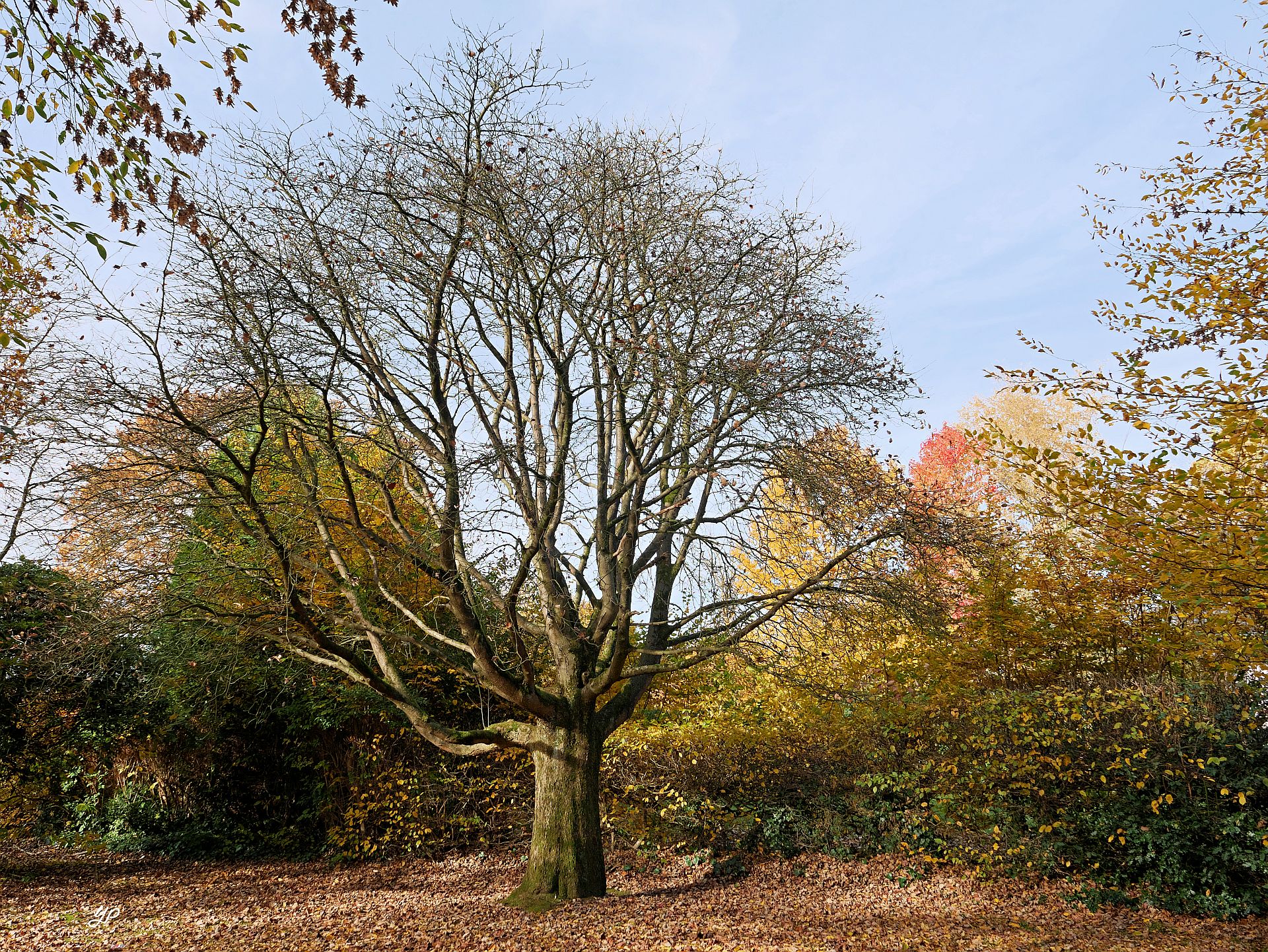 In herbstbunter Nachbarschaft