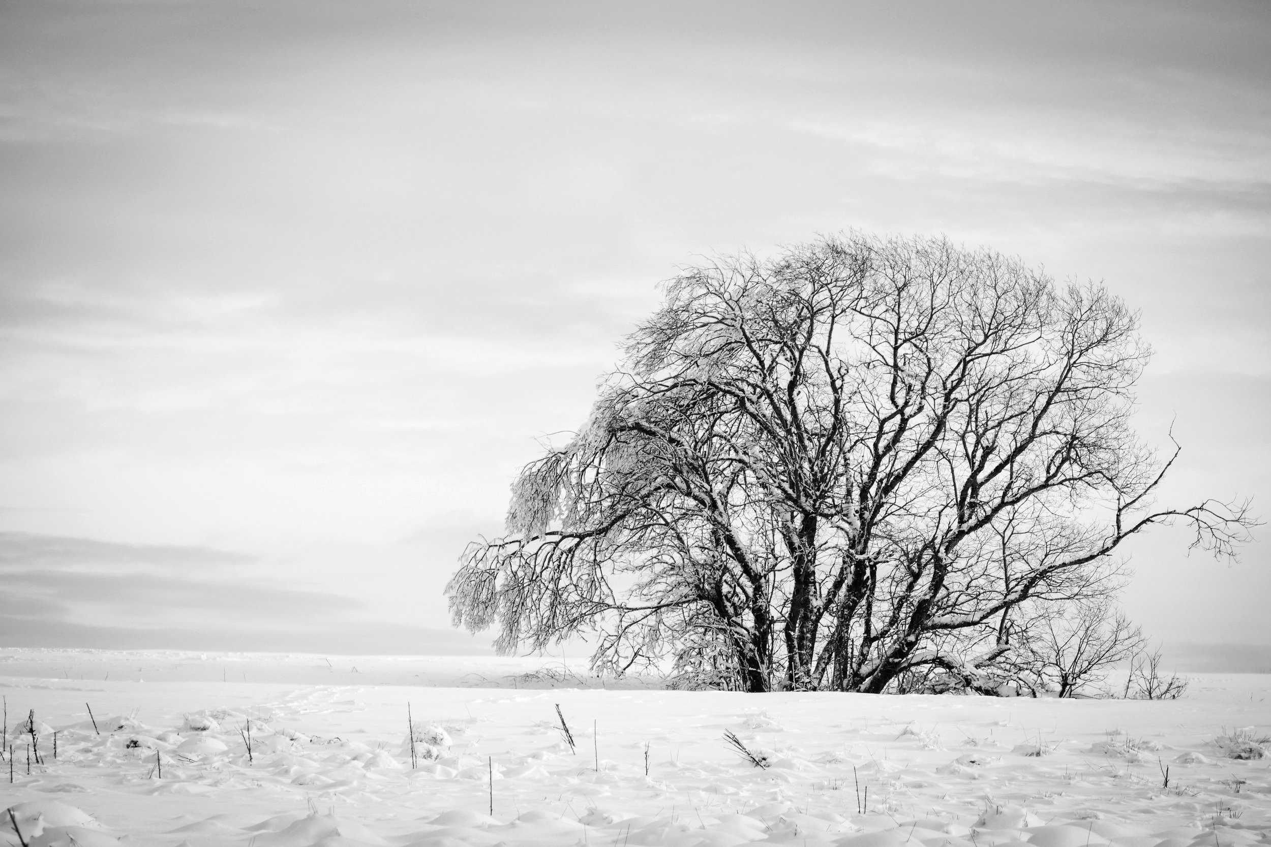 In weiterer Aussicht