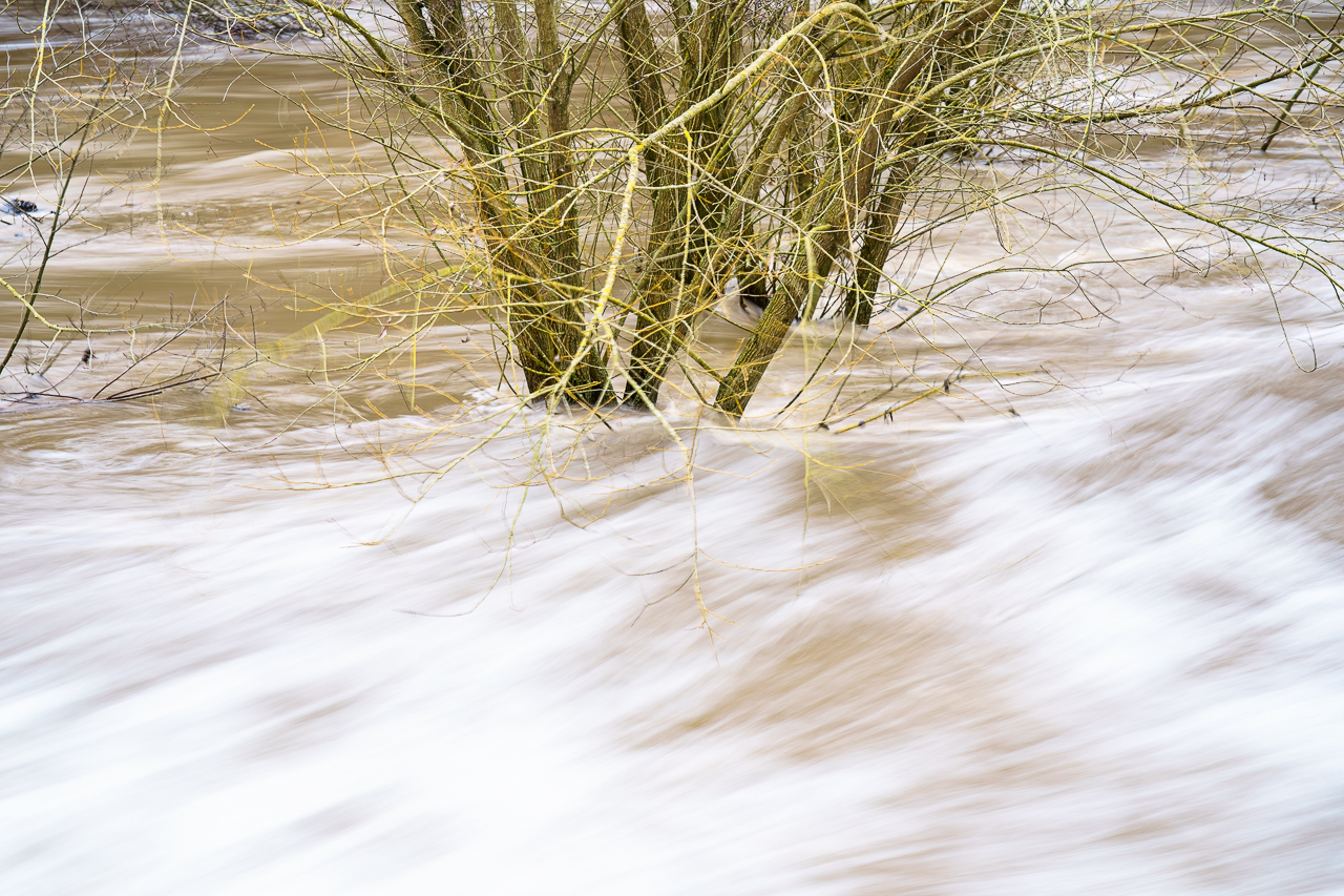 Insel im Strom