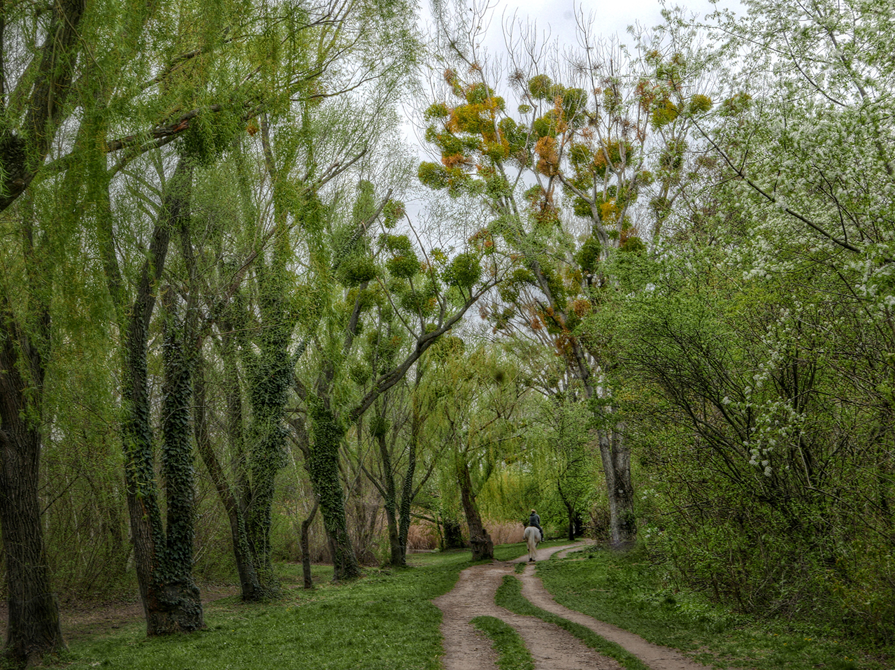 Into the green