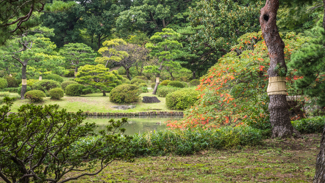 Japanischer Garten.jpg
