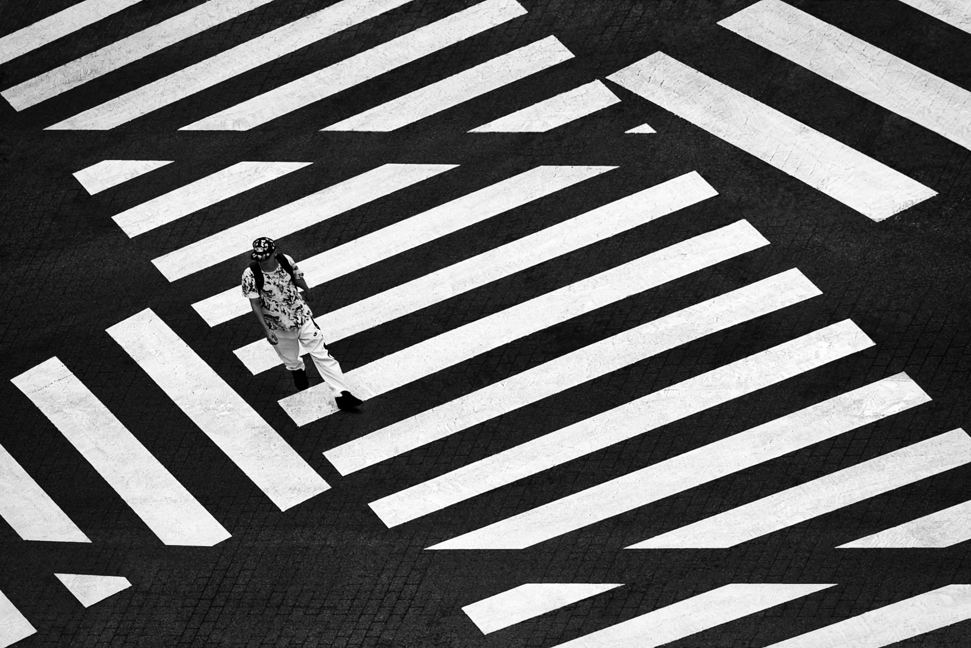 Jede Menge Zebras I / Version2