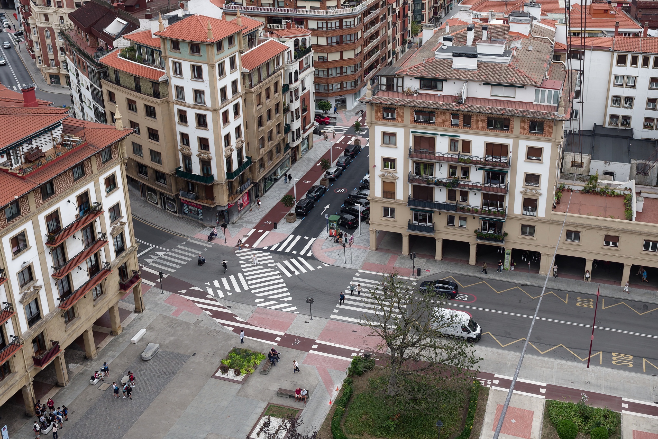 Jede Menge Zebras II