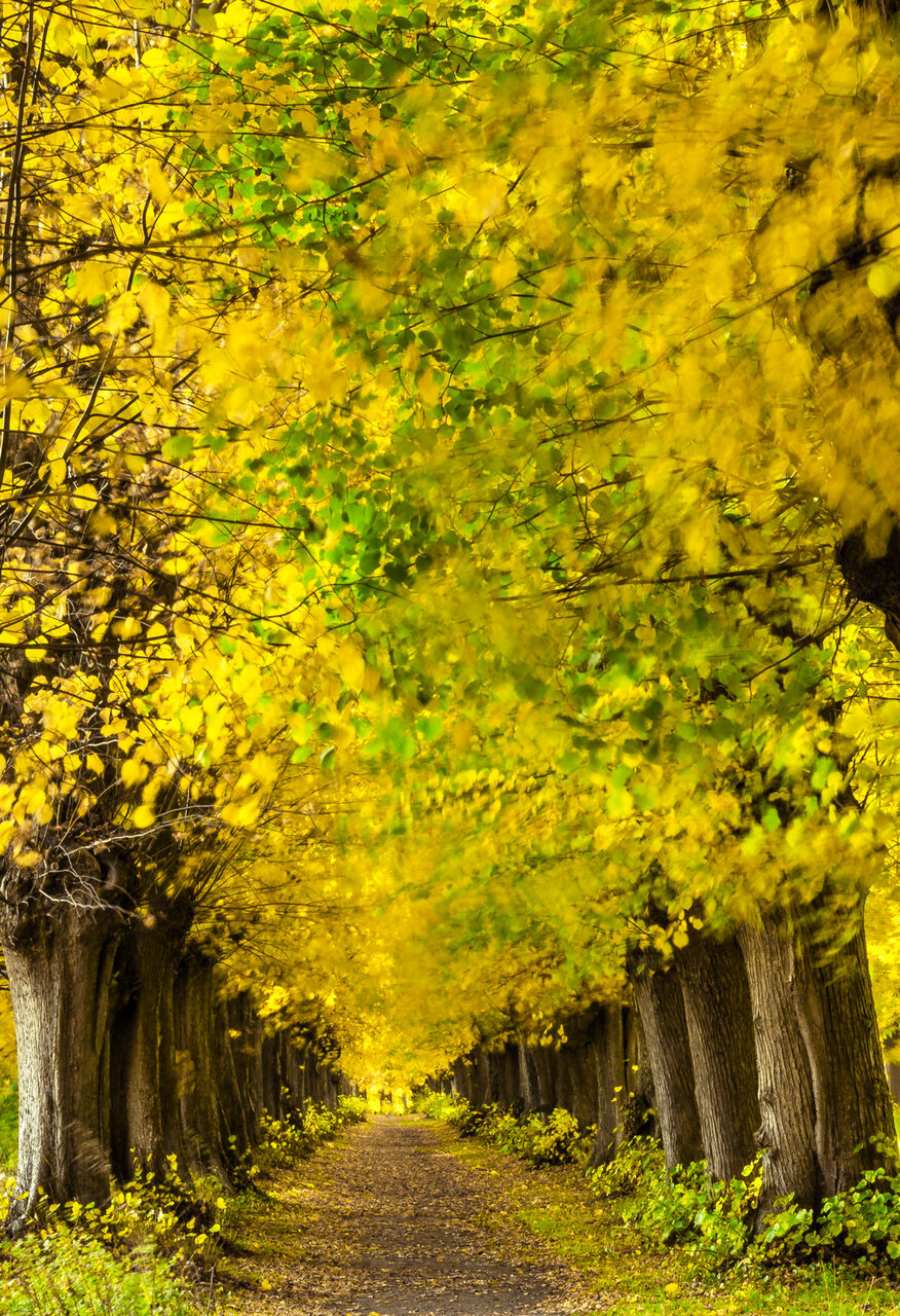 Jersbeker-Barock-Park