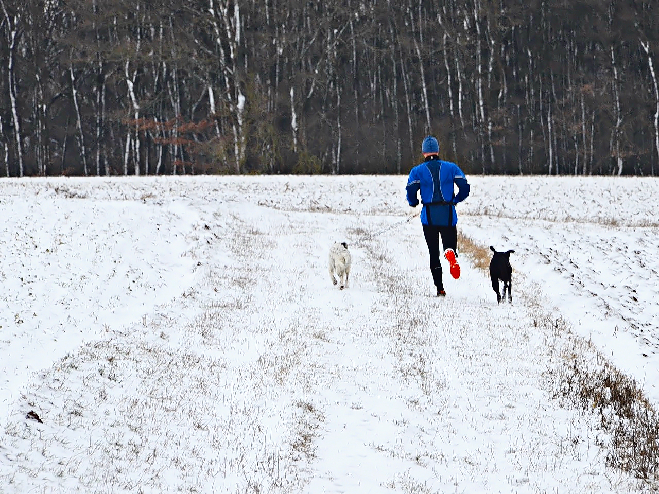 Jogger