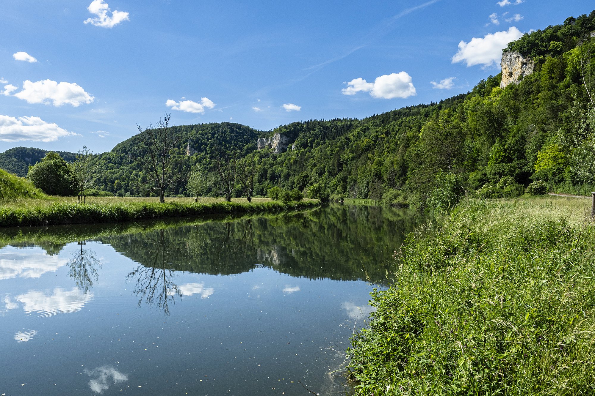 Junge Donau bei Fridingen