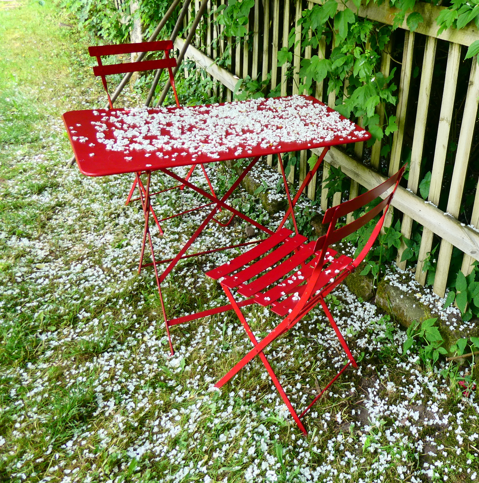 Juni-Schnee