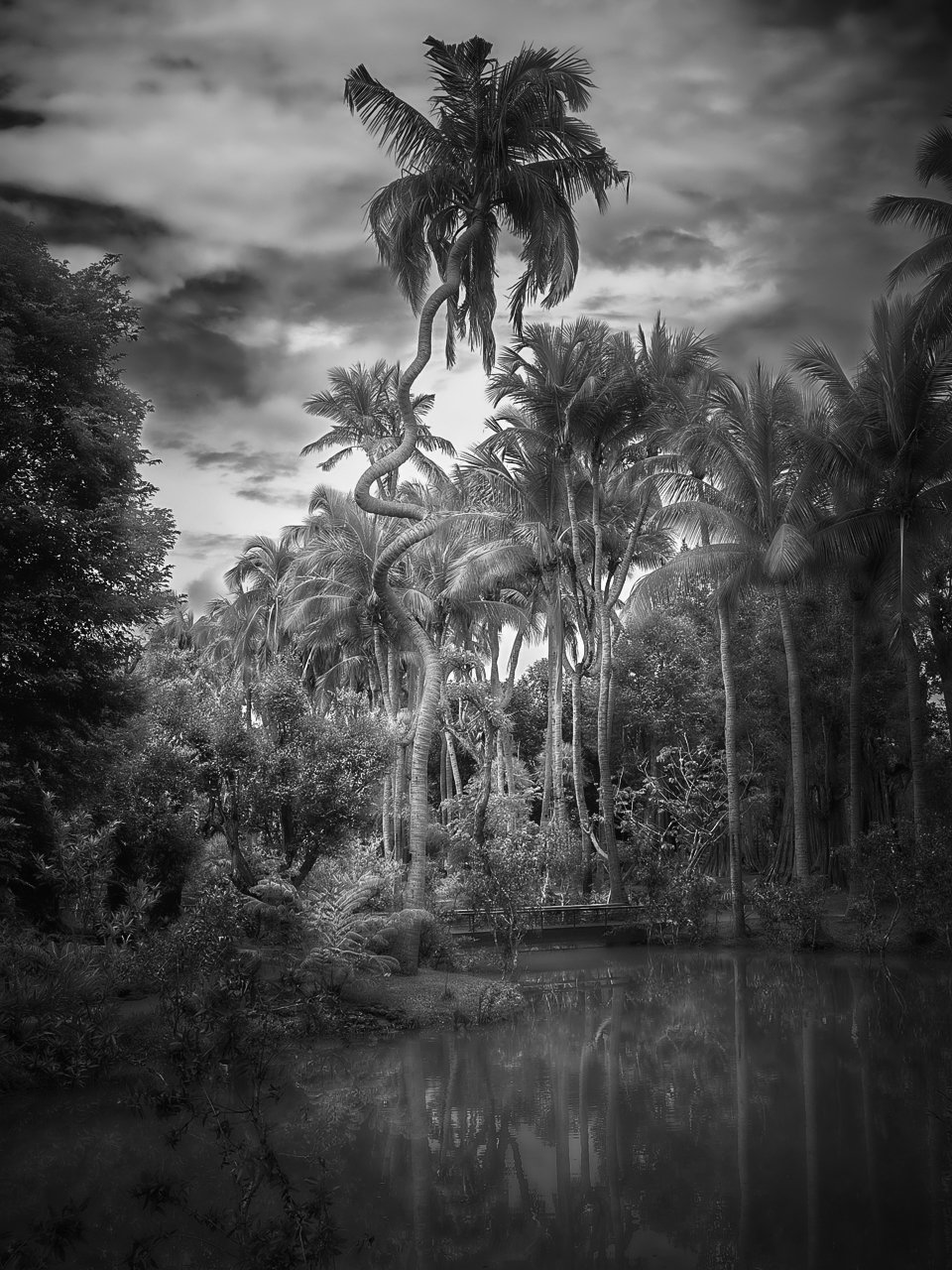 Jurassic Park