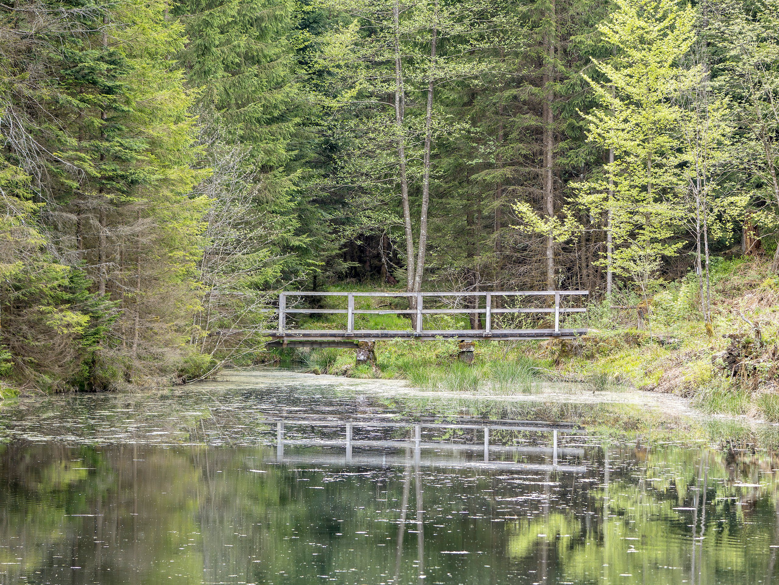 Kaltenbachsee