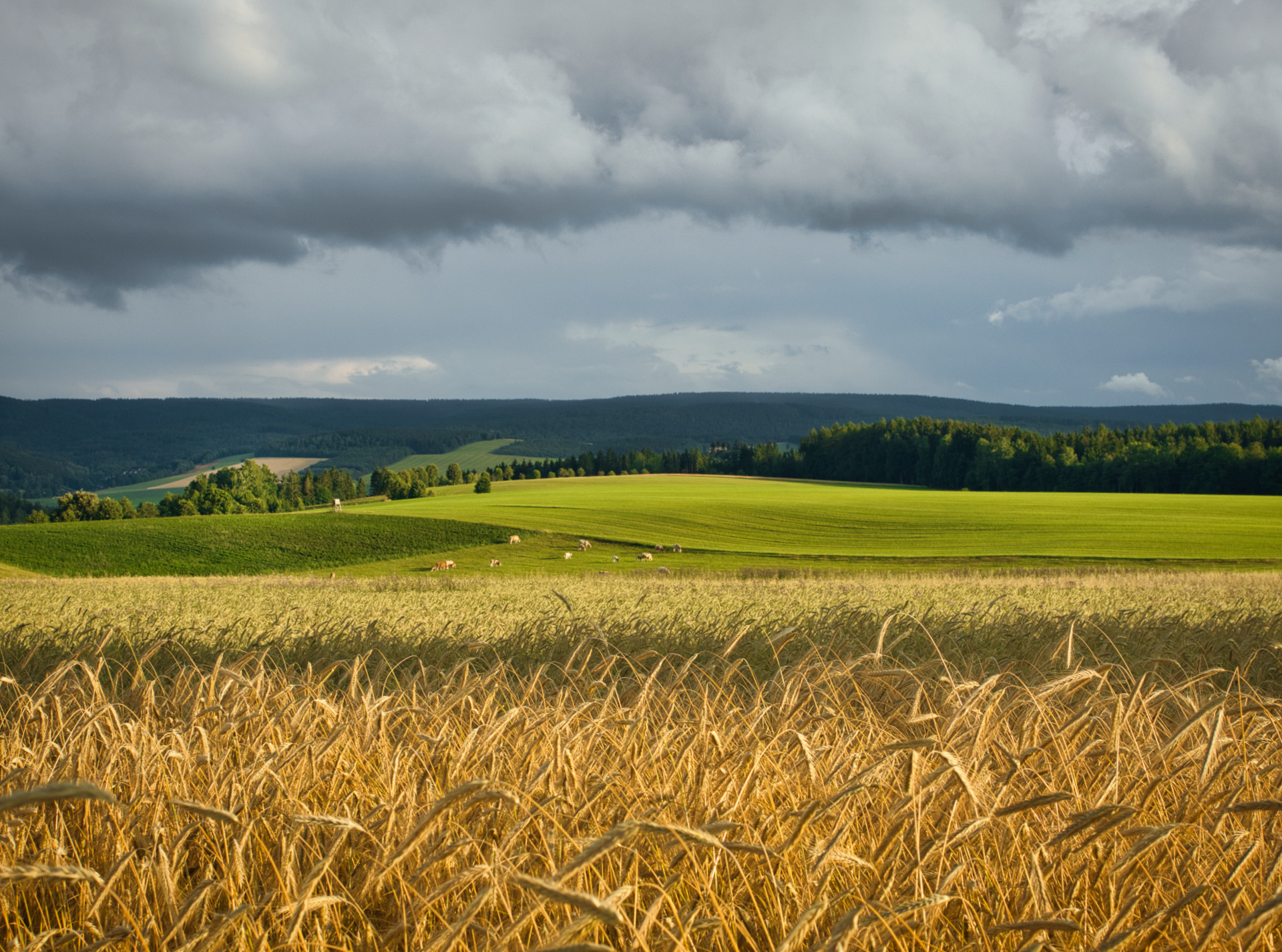 Kein schöner Land
