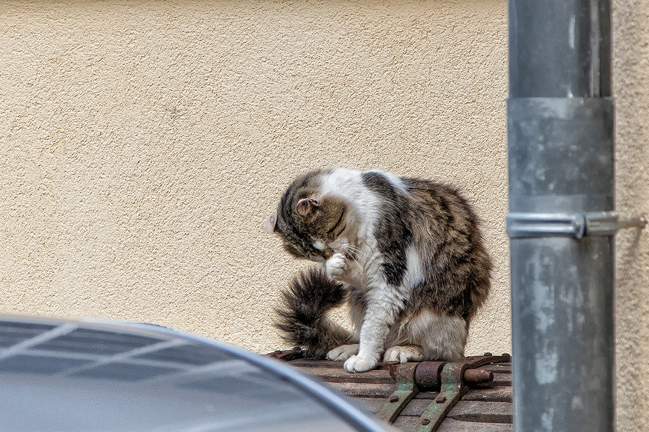 Kein Taschentuch dabei?