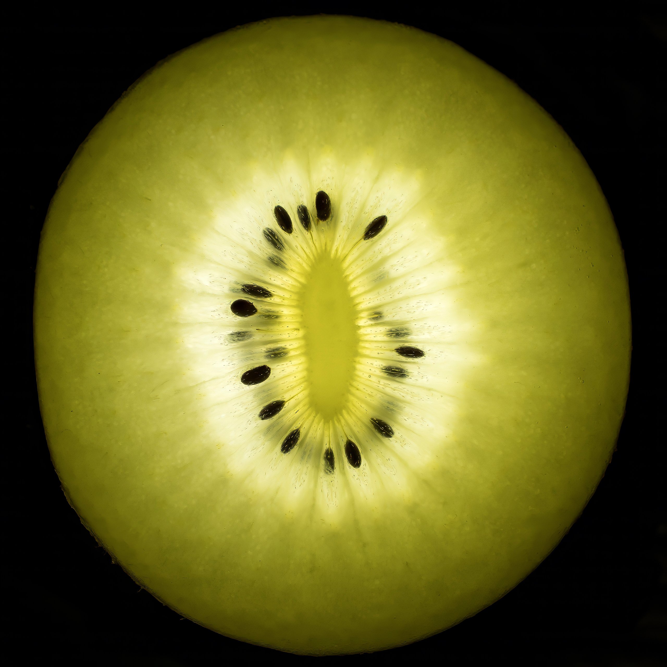 Kiwi durchleuchtet