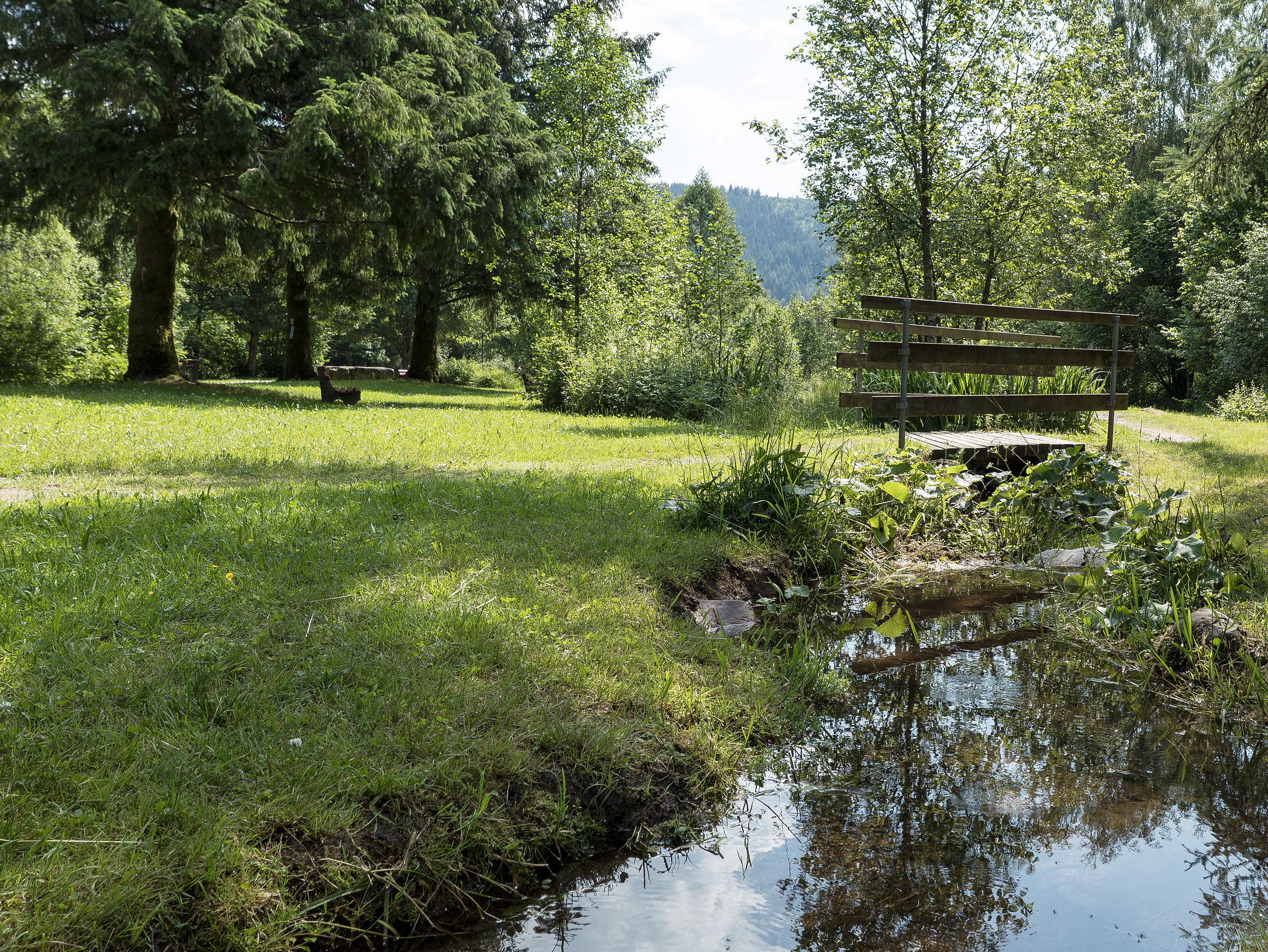 Kleine Brücke im Park