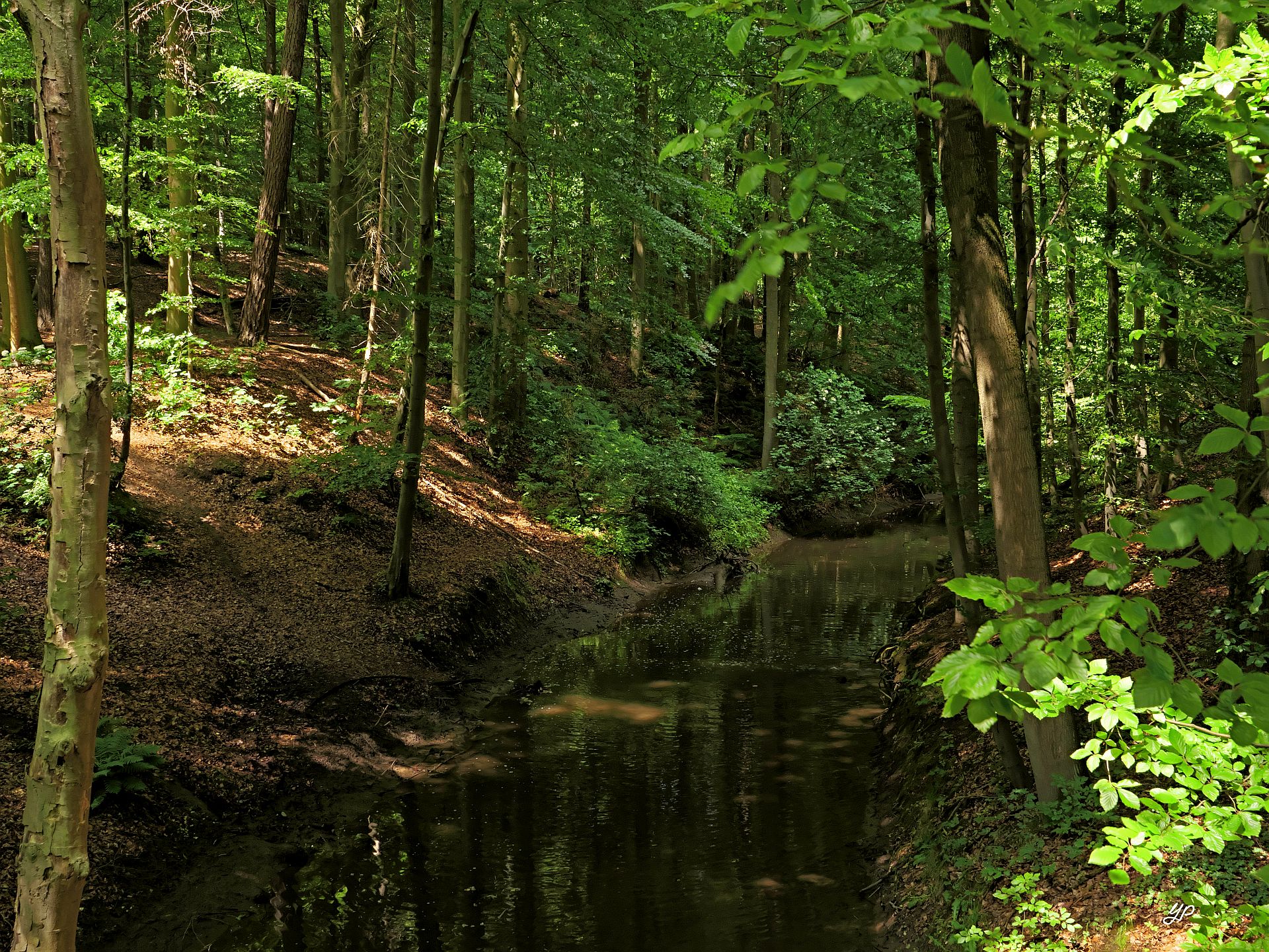 Kleiner Nebenfluss der Werre