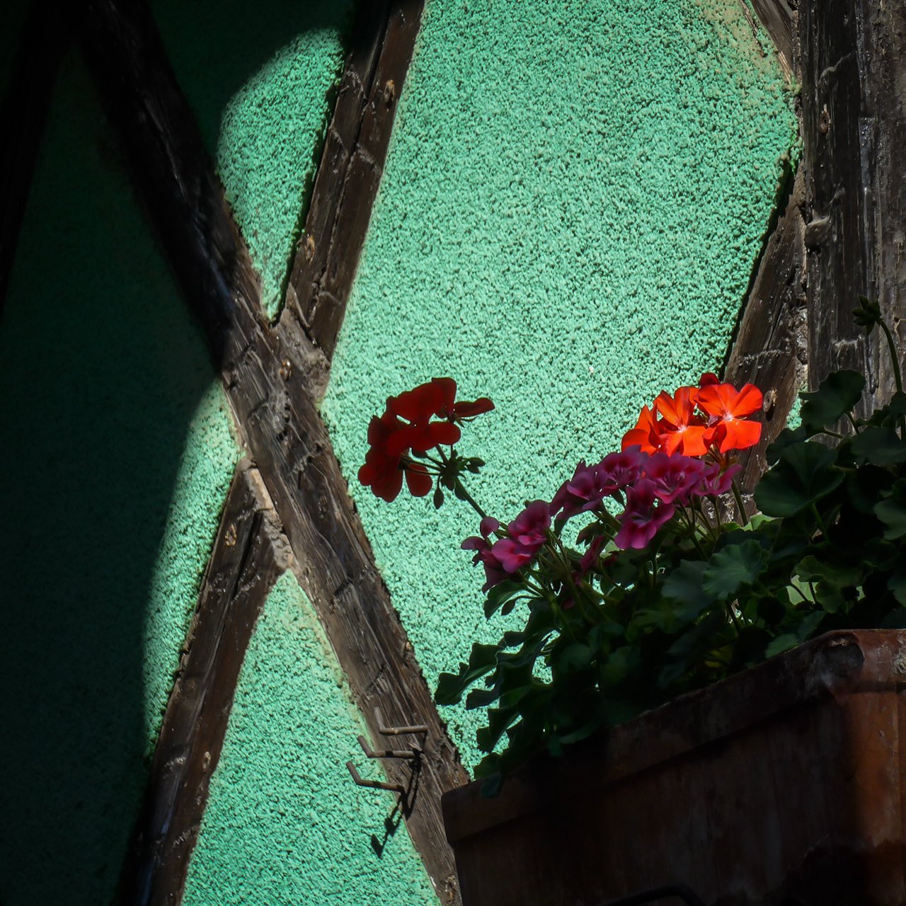 Knapp im Licht