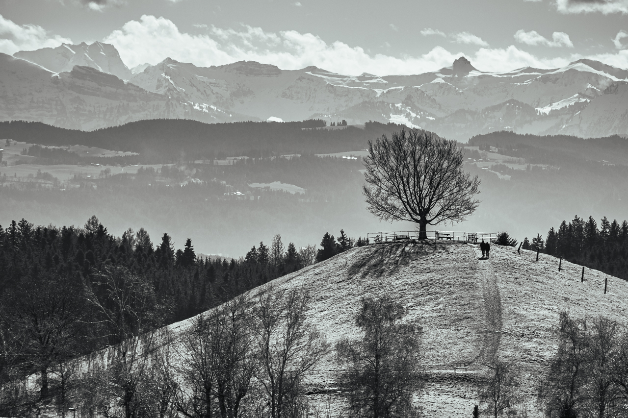 Kohlenberg