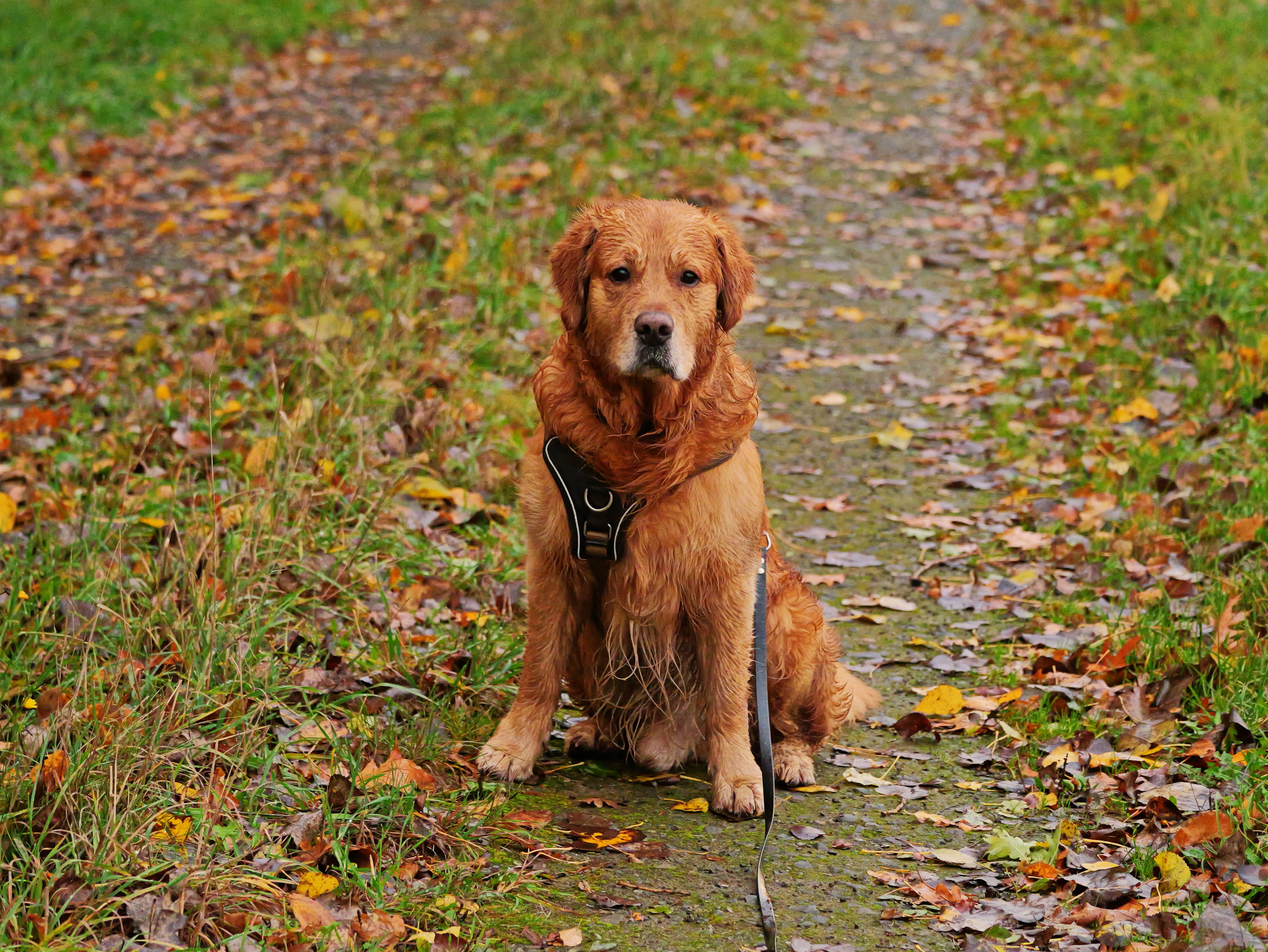Komm endlich weiter!