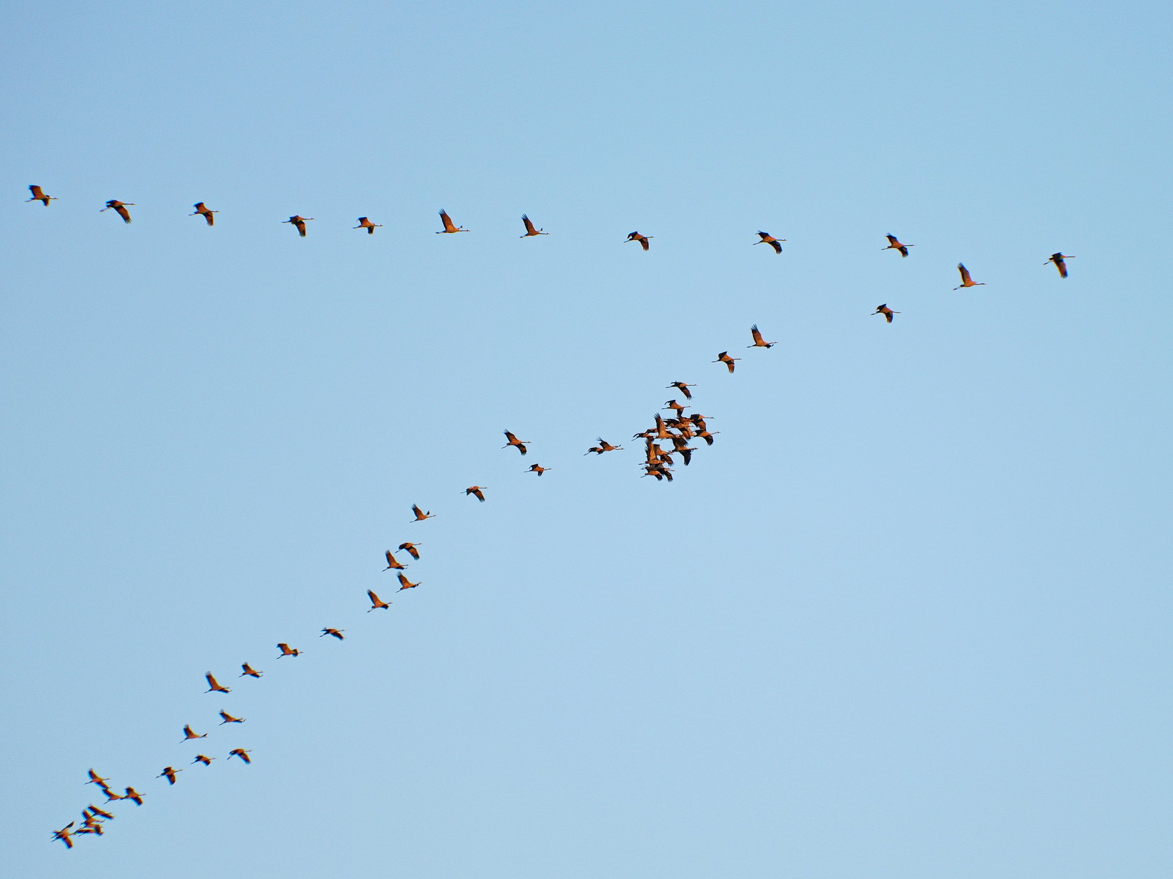 Koordinationsprobleme.