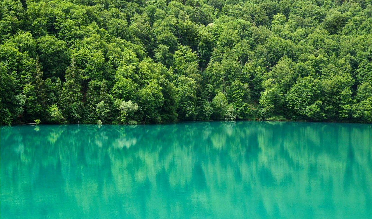 Lac Pavin 1