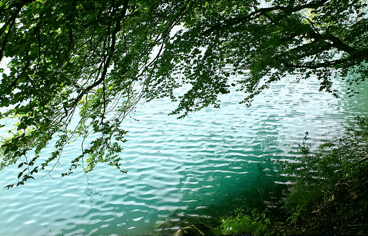 Lac Pavin 2