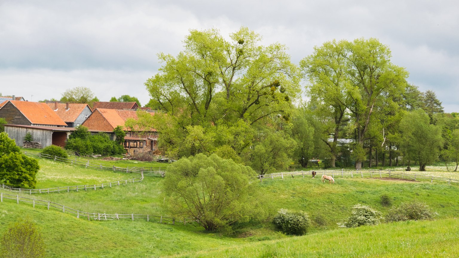 Ländliche Idylle