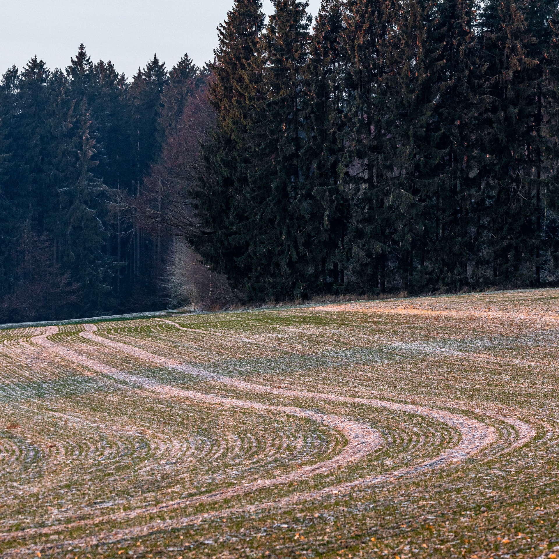 Land- und Forstwirtschaft