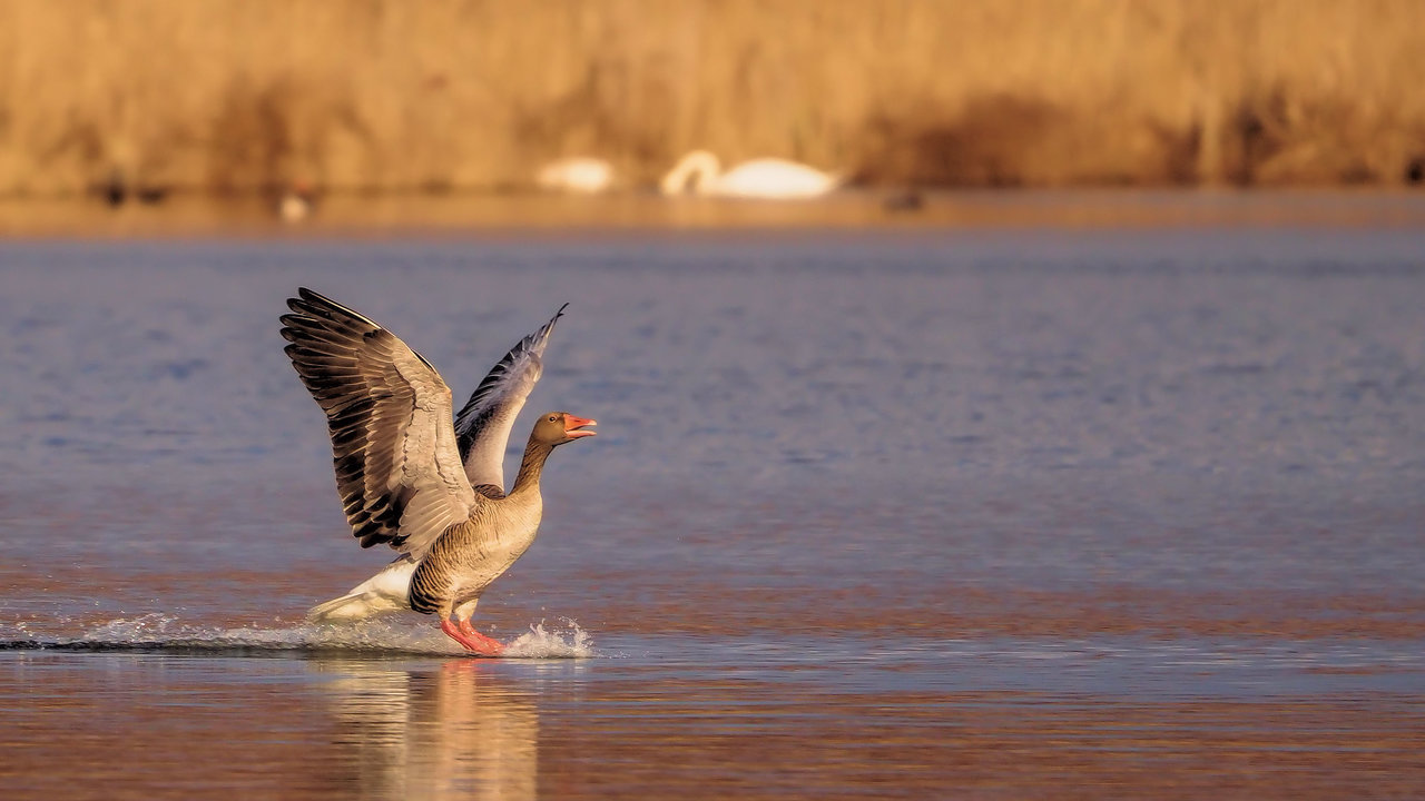 Landeanflug...