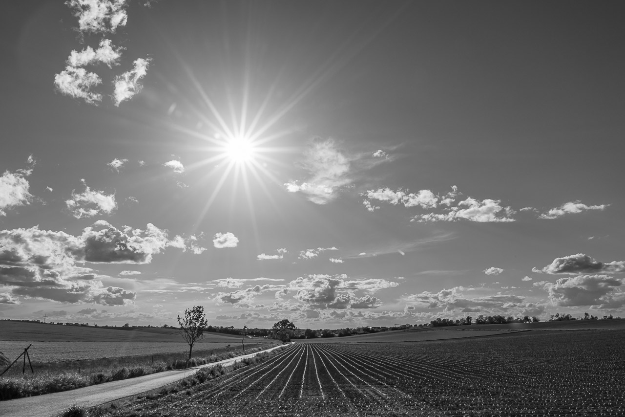 Landschaft im Gegenlicht sw.jpg