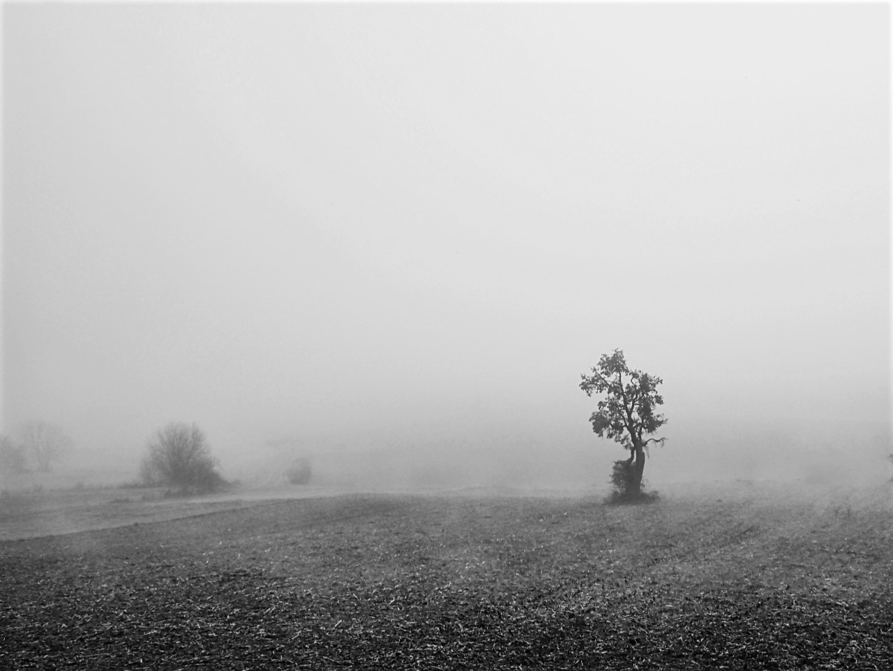 Landschaft im Nebel