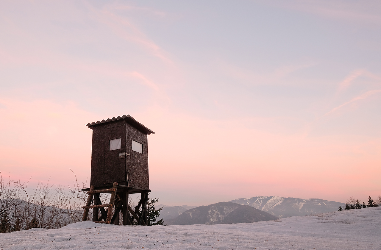 Landschaft in rosa-rot