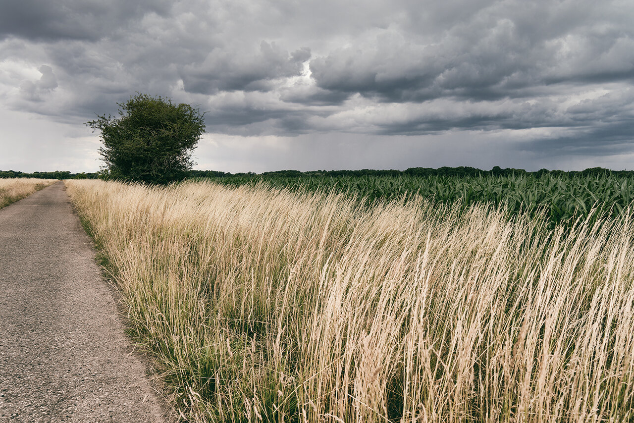 Landschaft ohne Eckläufer