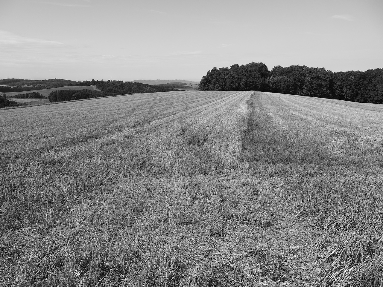 Landschaft Sommer 2025