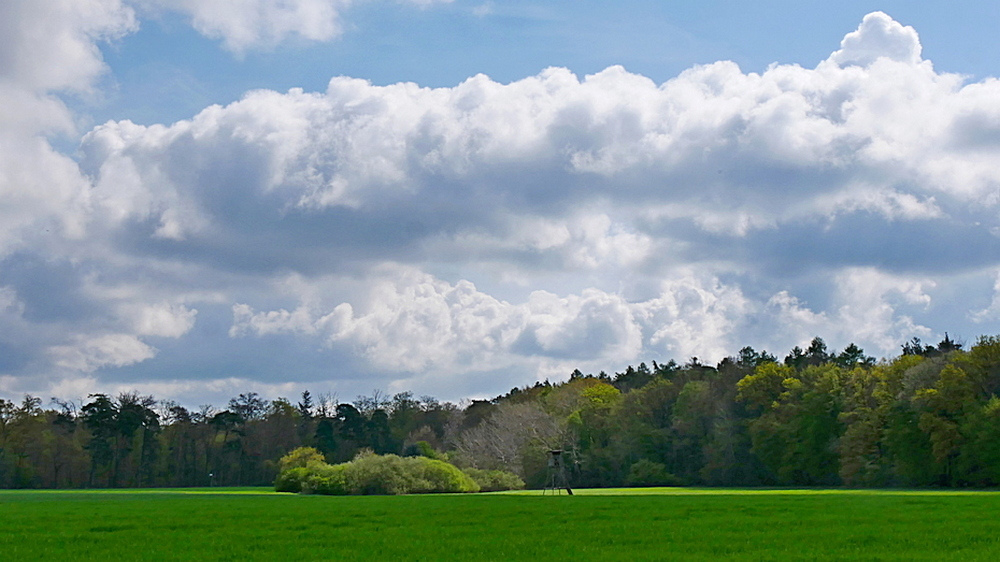 Landschaft