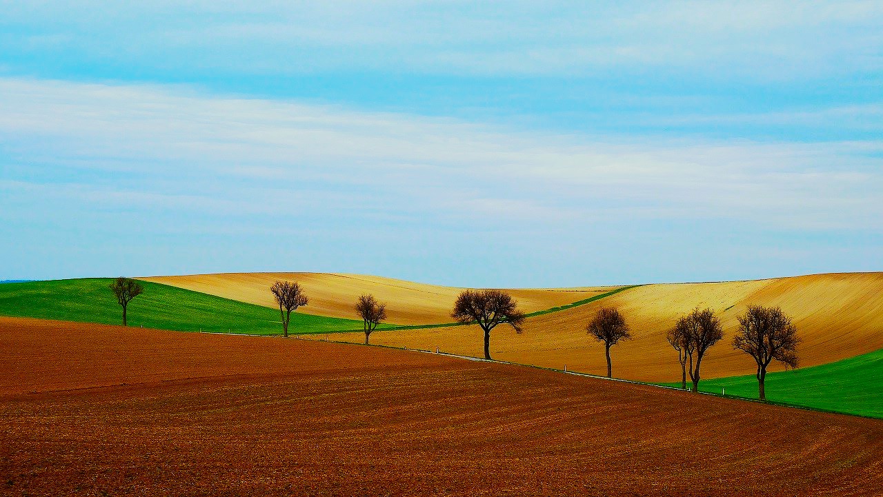 Landschaft