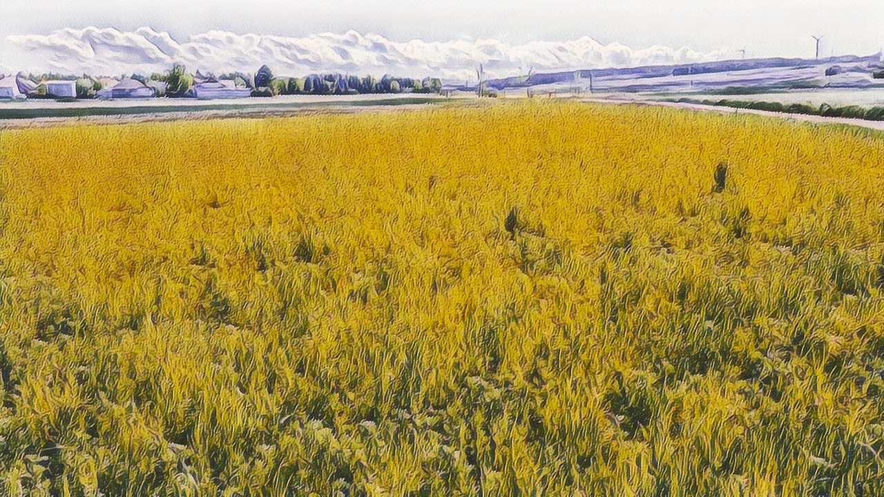 Landschaft