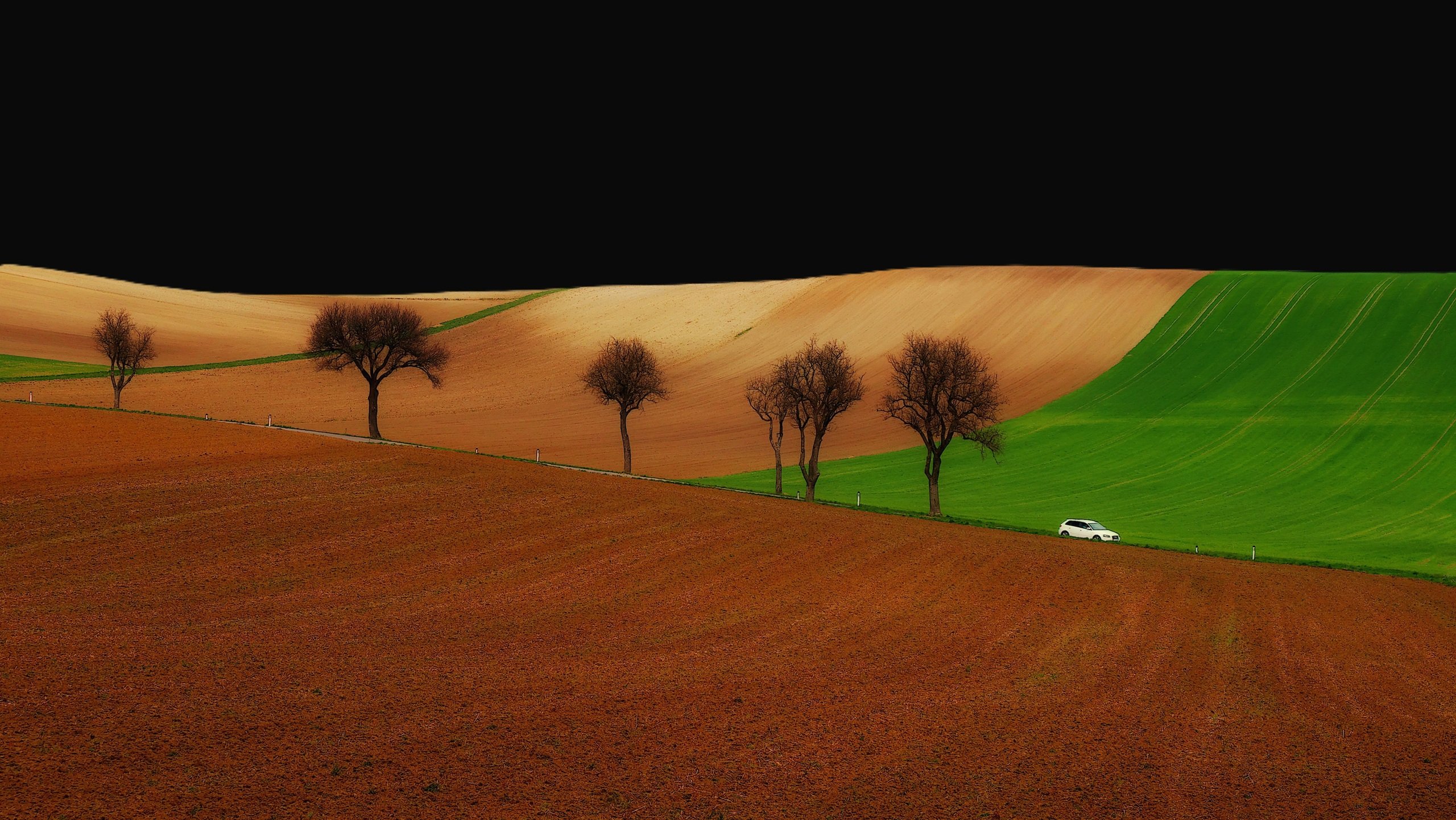 Landschaft