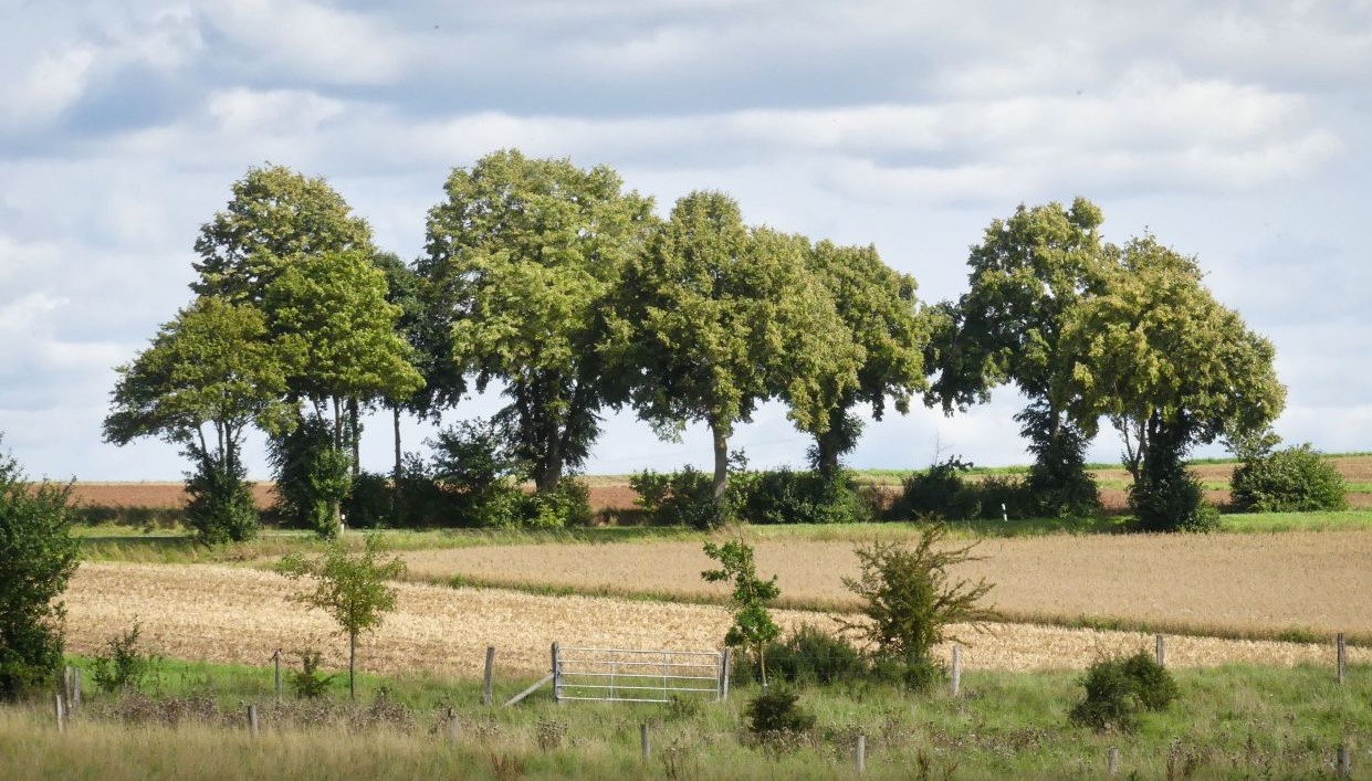 Landspaziergang