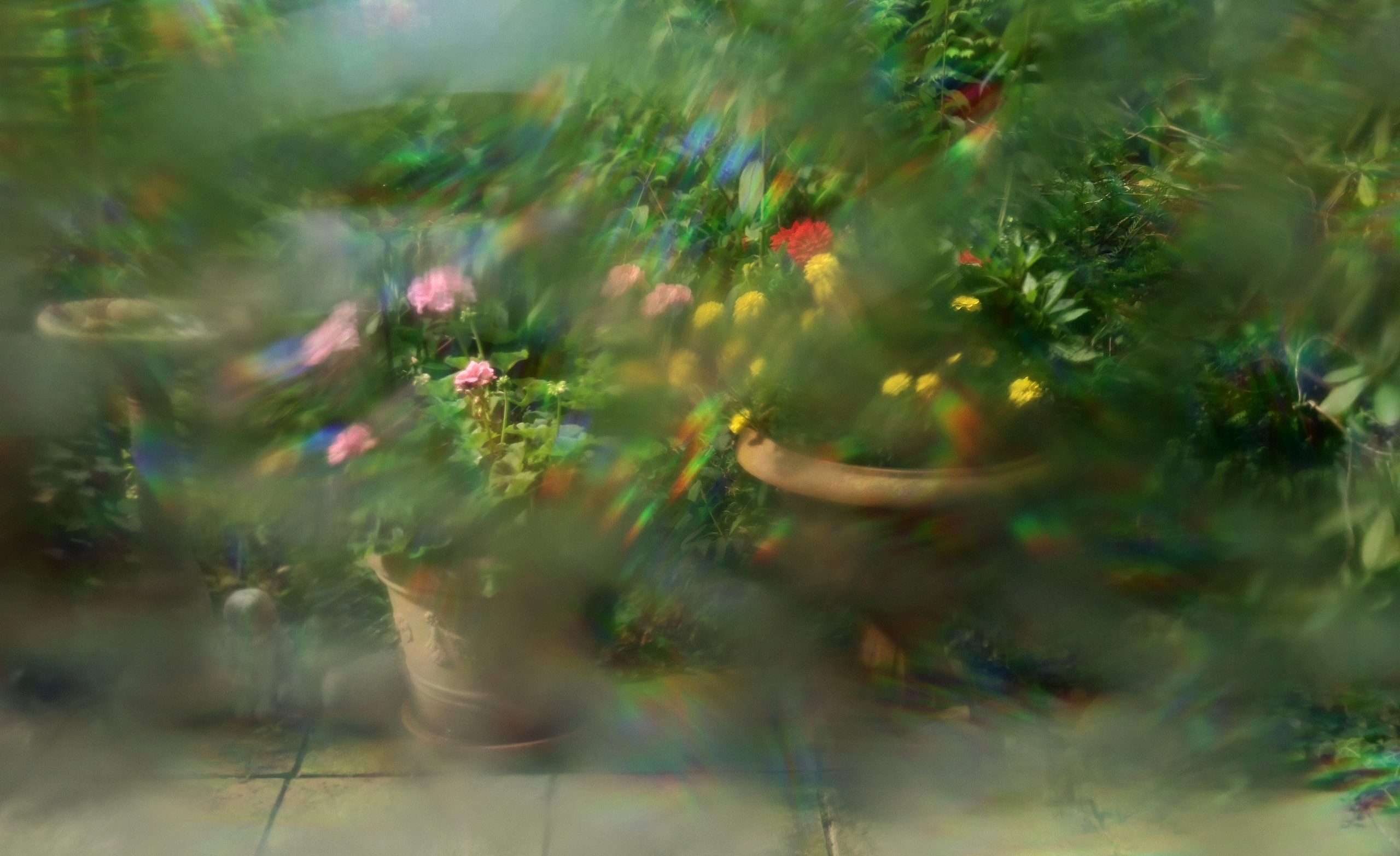 Langsam schwindet der Sommer