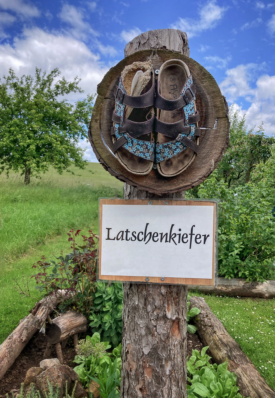 Latschenkiefer - wörtlich genommen