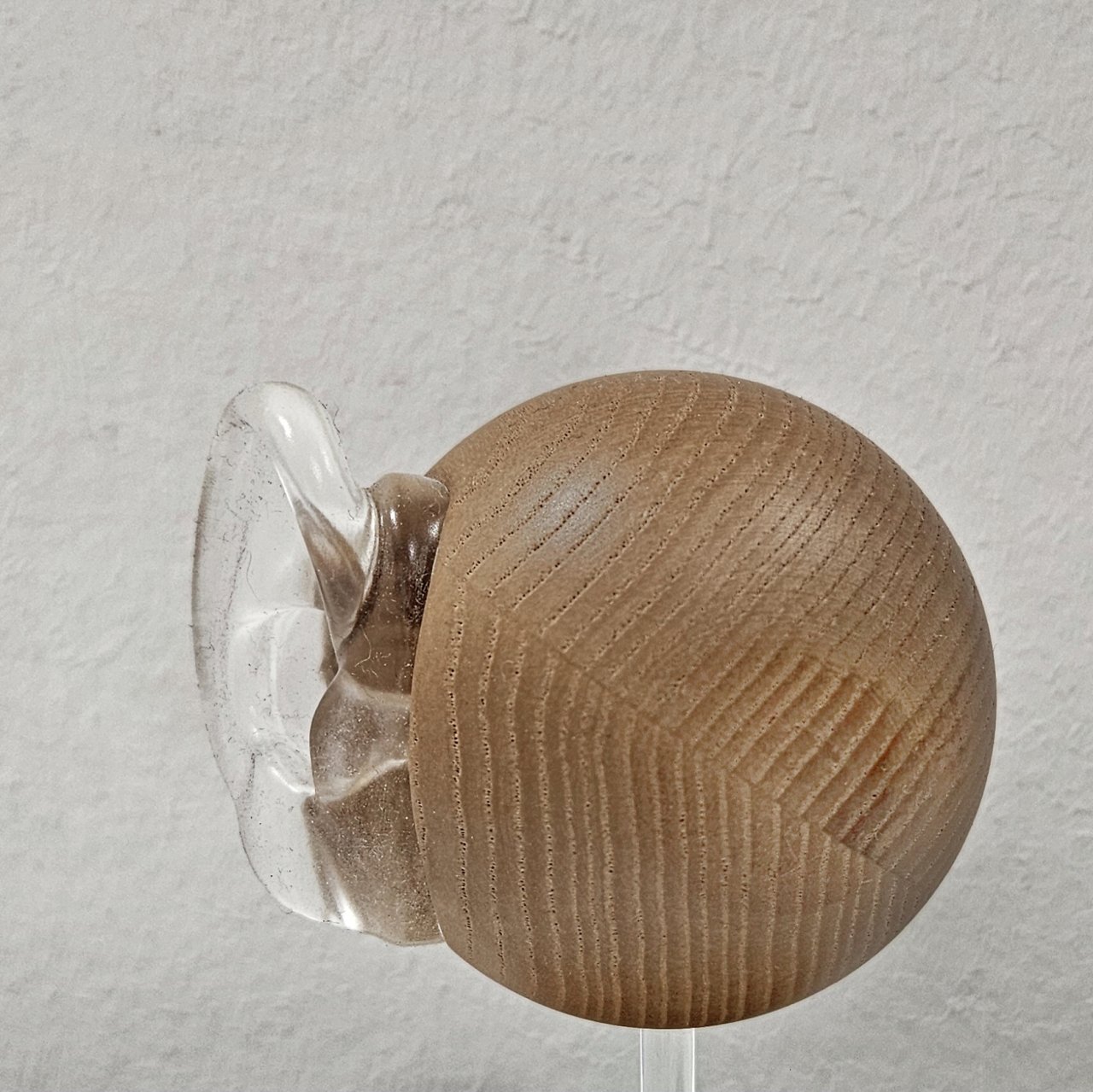 Lauscher           (Den Staub habe ich erst Zuhause gesehen)