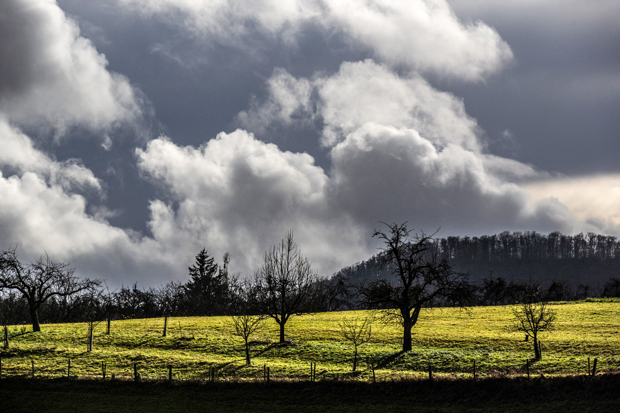 Laut Wetterfrosch: Mistwetter