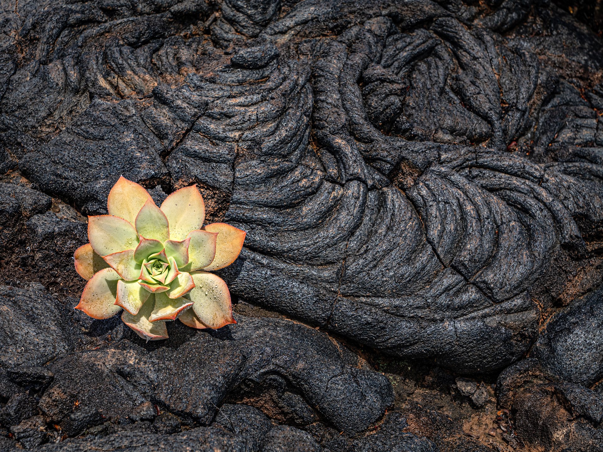 Lava (2)