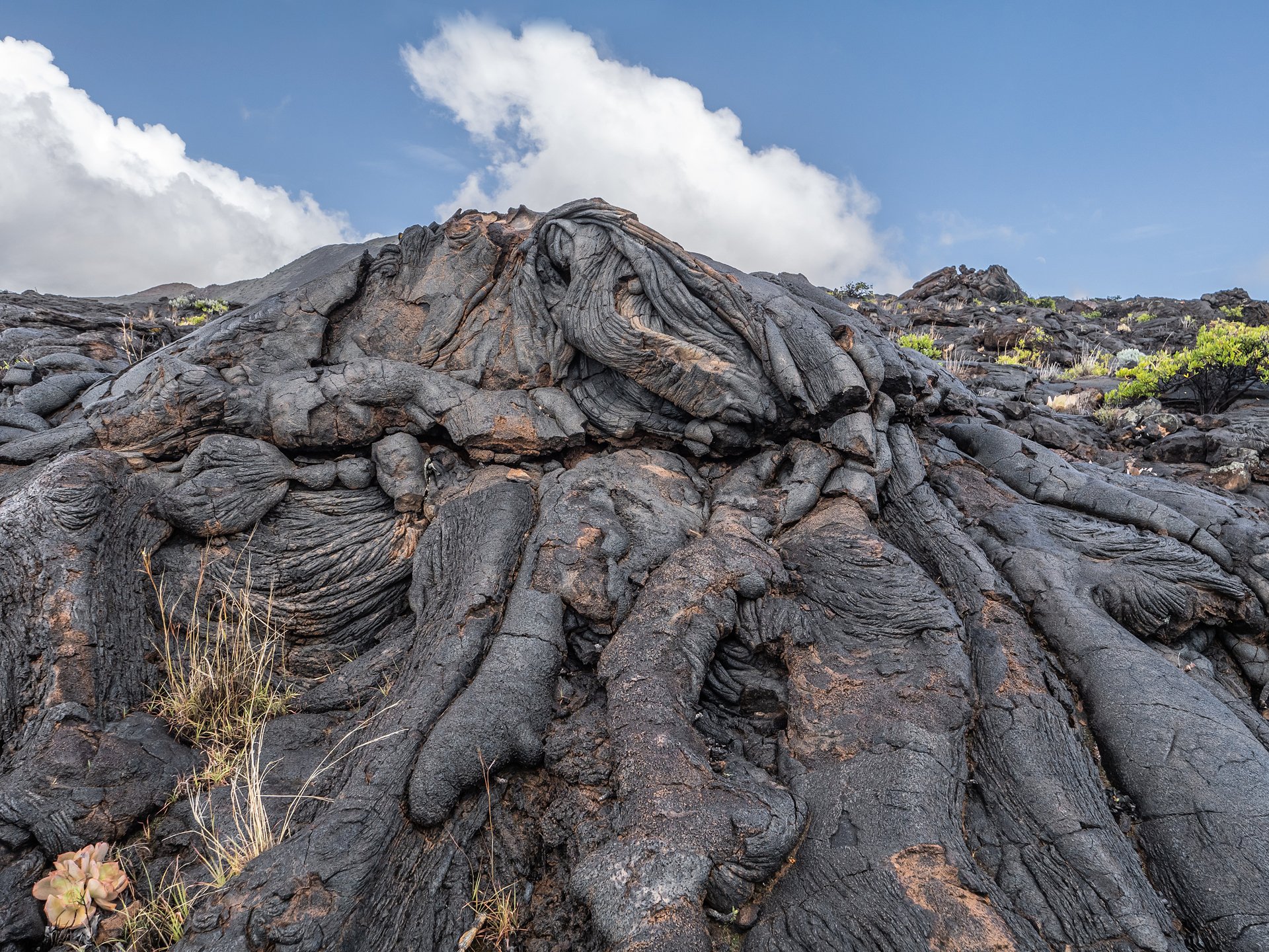 Lava (7)