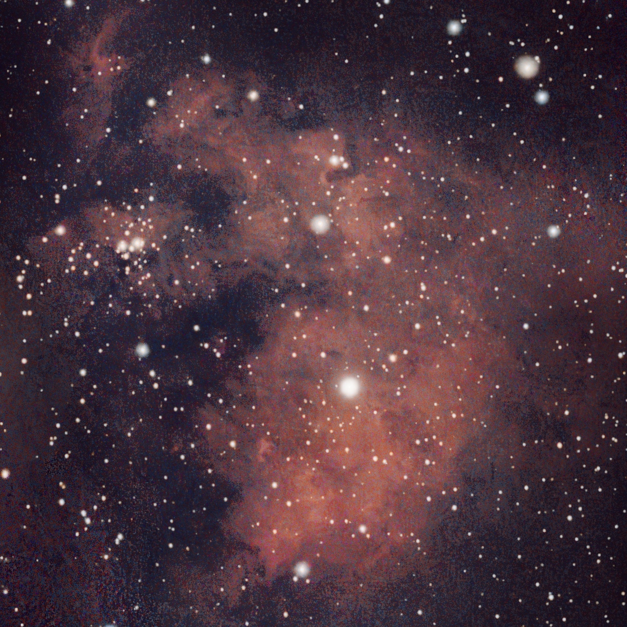 LDN1272 /  NGC 7822 ein H2-Nebel