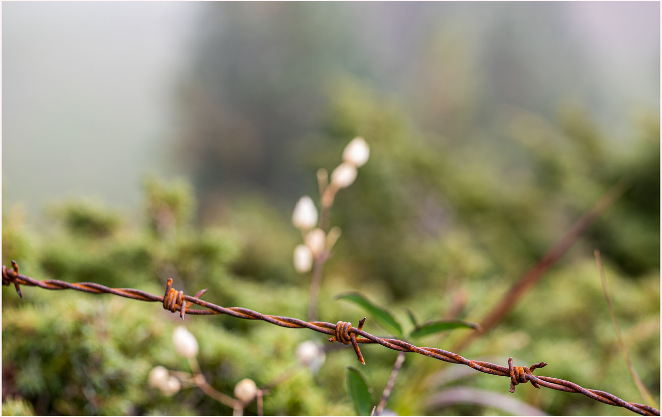 Leben hinterm Stacheldraht