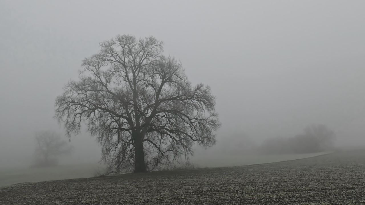 leichter Bodenfrost