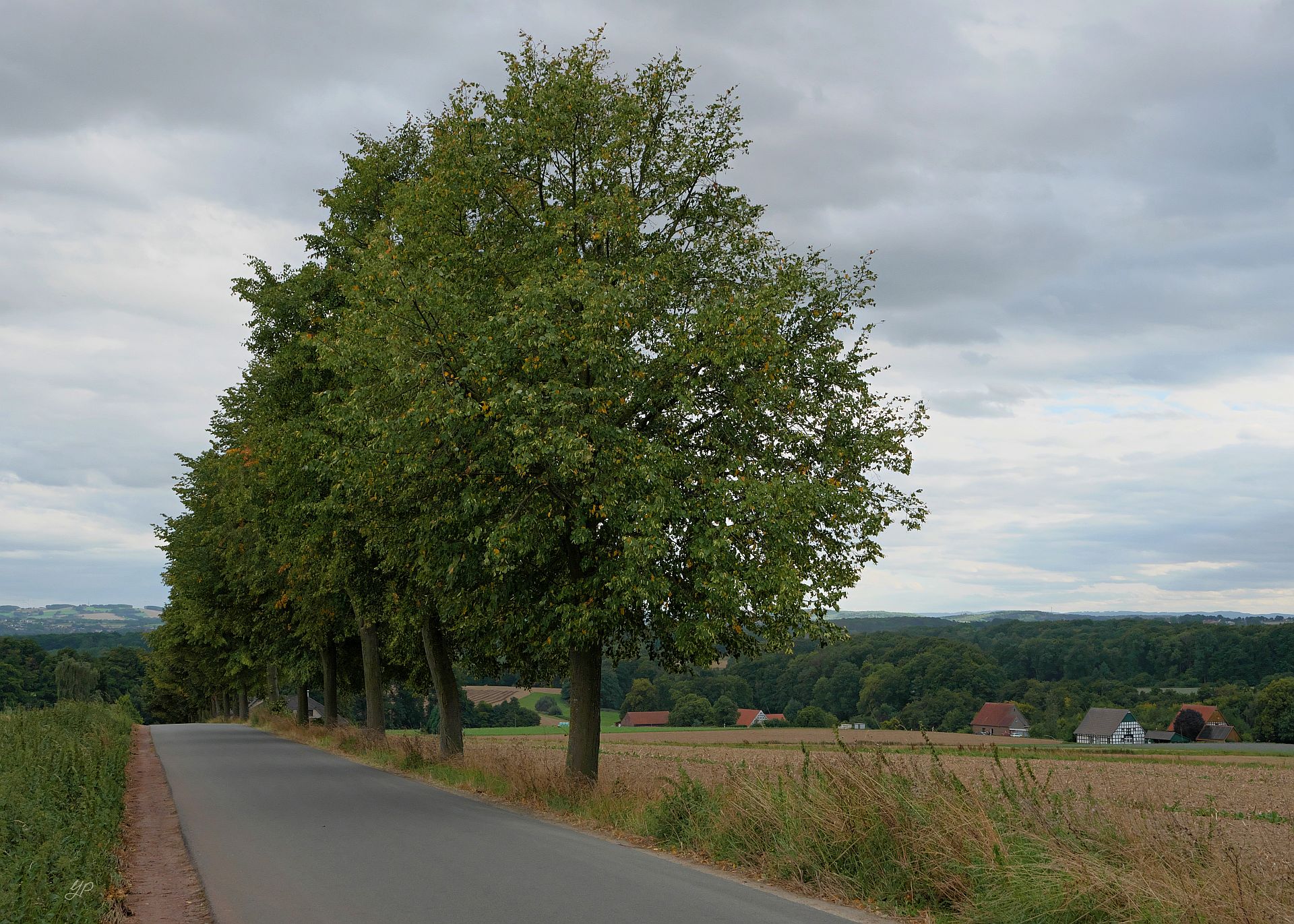 Leserheimat